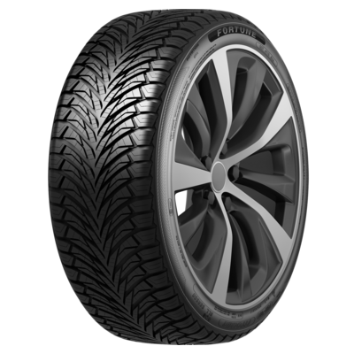  Fortune Fitclime FSR-401 205/55 R17 95 W